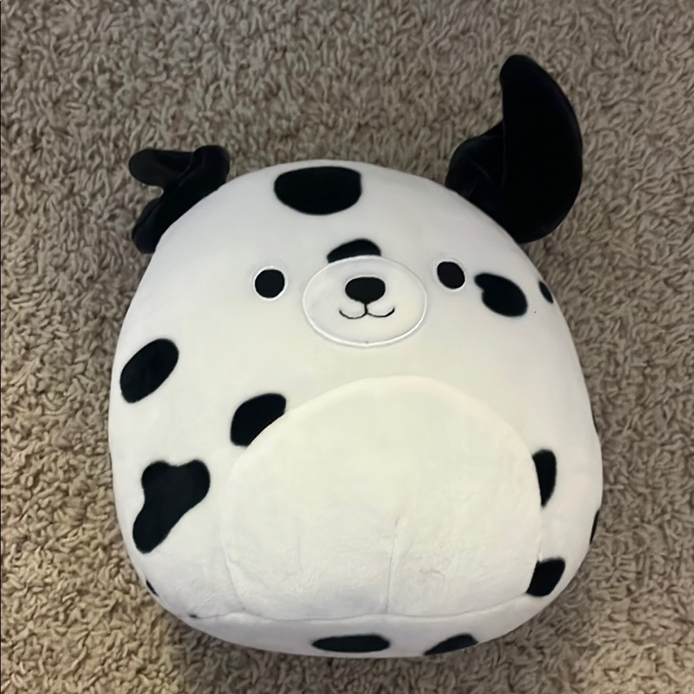 Dustin Dalmatian Squishmallow NWT